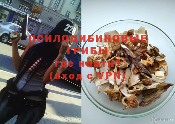 индика Аркадак