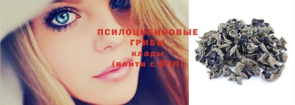 молекула духа Комсомольск