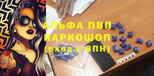 индика Аркадак