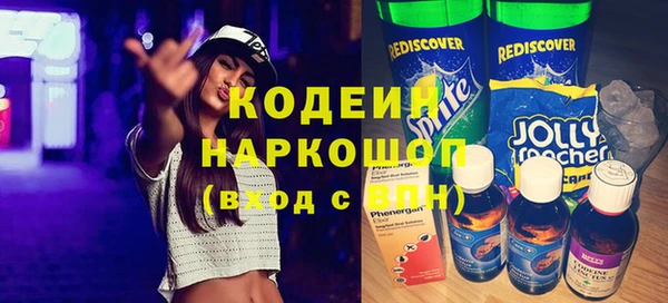 индика Аркадак