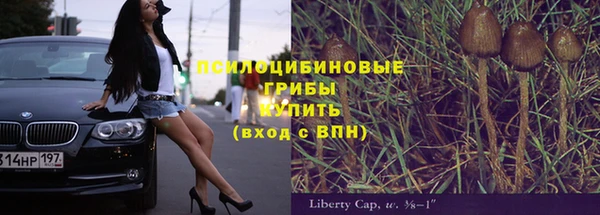 дживик Арсеньев