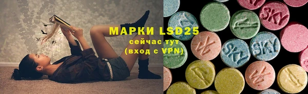 индика Аркадак