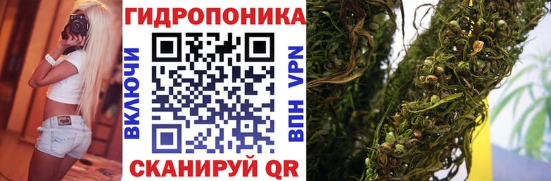 купить наркоту  Мамоново  Бошки Шишки MAZAR 